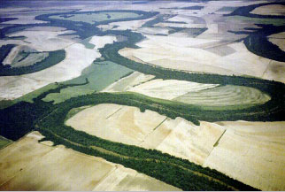 Mississippi Alluvial Plain 